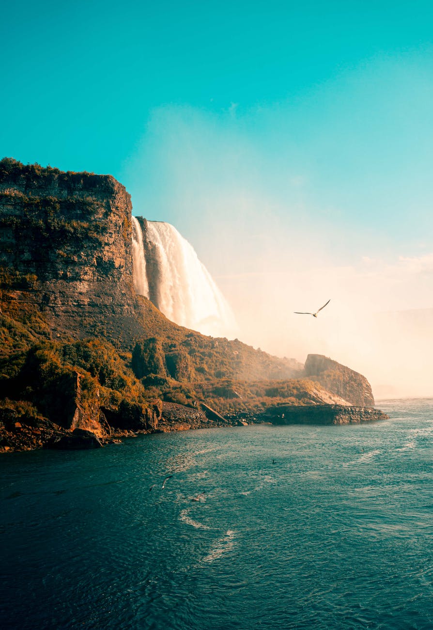 Part I: On&nbsp;Molting